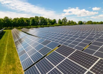 Solar panels in an open field are pictured.