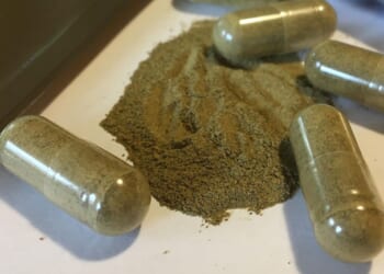 Ole Miss students' deaths investigated for kratom link; drug found near the two bodies, police say