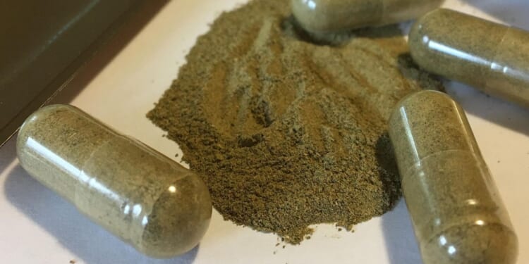 Ole Miss students' deaths investigated for kratom link; drug found near the two bodies, police say