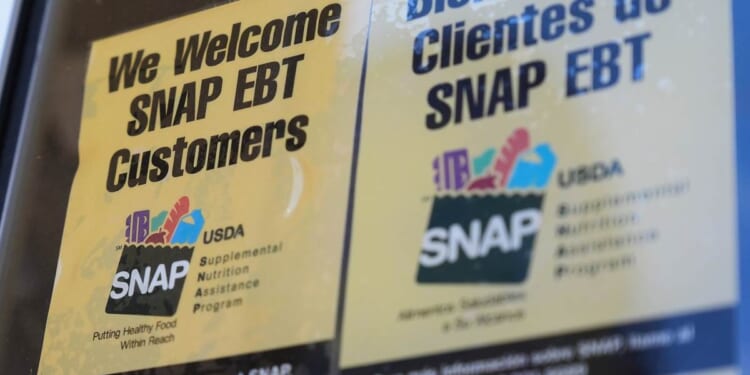 Operation SNAP Back Exposes 170 Retailers in New York City – PJ Media