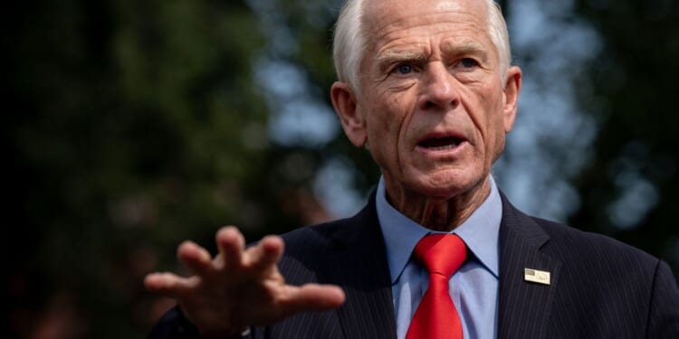 Peter Navarro: Fed made 'inexplicable' error in raising rates during energy price surge