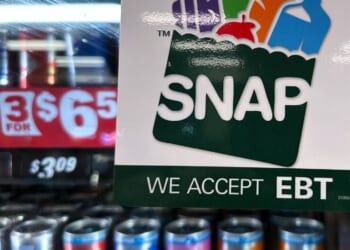 SNAP fraud costs agencies $4.29 per dollar lost