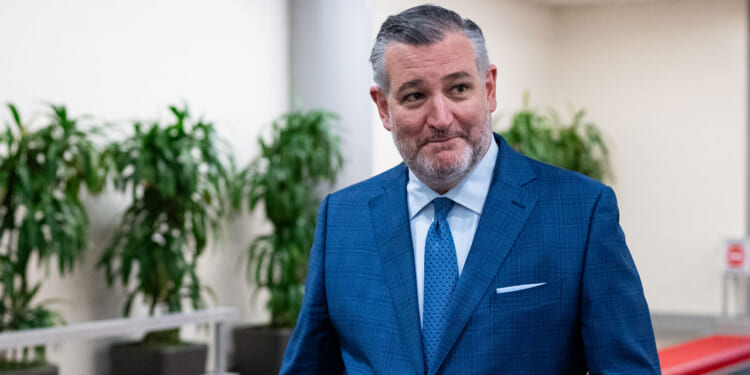 A man in a blue suit and tie stands indoors near potted plants, looking to the side with a slight smile.