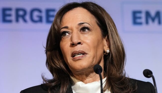 Well, This MS NOW Moment With Kamala Harris Was Super AWKWARD – PJ Media