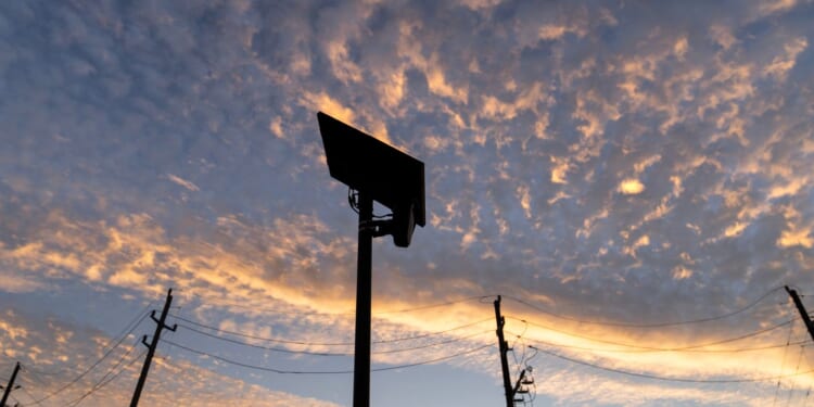 Woman spent 86 hours in solitary confinement over misused Flock camera report