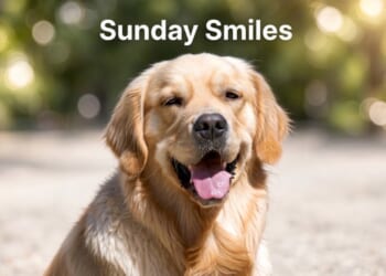 Sunday Smiles – HotAir