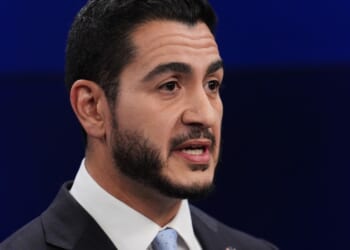 El-Sayed's Racist Claim That Arab Mothers at Less Risk Without ‘Interethnic Mating’ – PJ Media