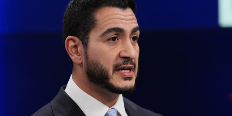 El-Sayed's Racist Claim That Arab Mothers at Less Risk Without ‘Interethnic Mating’ – PJ Media