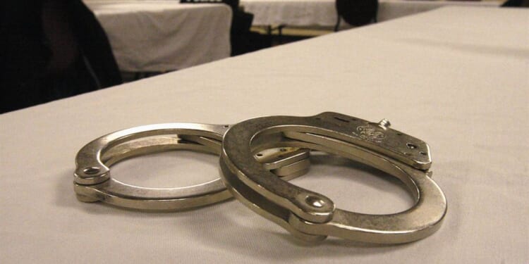 Mom Who Stabbed Kids 50 Times Was Out on Bond for Child Endangerment – PJ Media