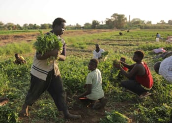 U.S. envoy holds rare meeting with Sudan's top general in push to seek end to fighting