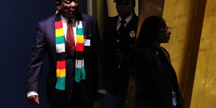 Zimbabwean tycoon killed in helicopter crash had cultivated presidents as friends