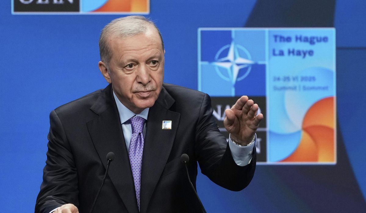 Turkey unveils Steel Dome air defense system