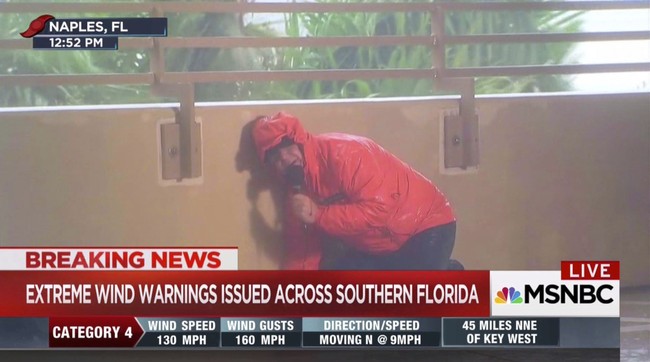 How's That Big MSNBC Rebrand Going? Peacock Gone, Multiple Sclerosis Trending – HotAir