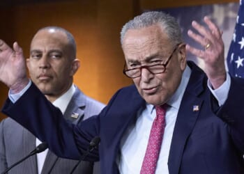 As Democrats prepare for a possible federal shutdown, their endgame is uncertain