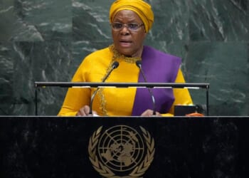 African leaders at U.N. did not draw attention to home conflicts, analysts say
