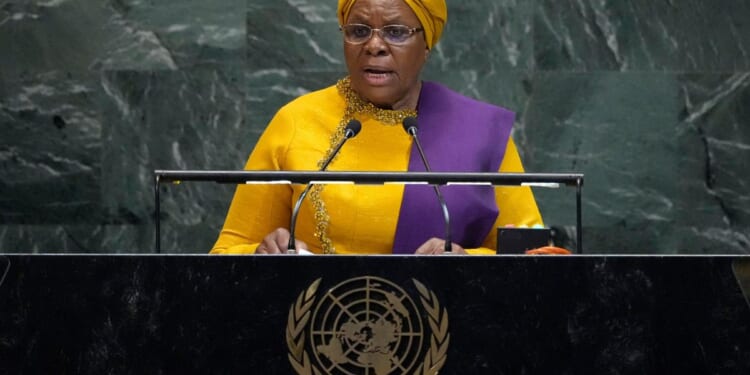 African leaders at U.N. did not draw attention to home conflicts, analysts say