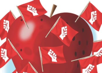 Illegal criminals entrenched in America's public education system