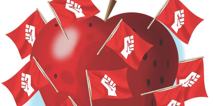 Illegal criminals entrenched in America's public education system