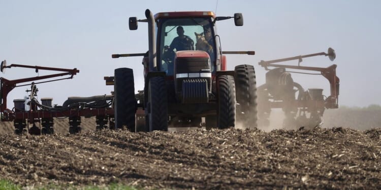 China tells U.S. to remove Trump administration's tariffs, then Beijing will buy American soybeans