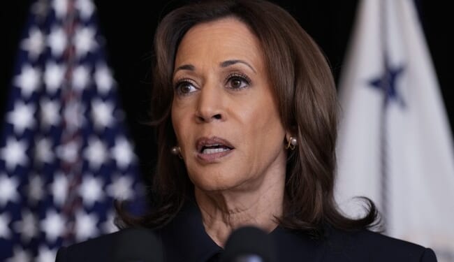 Kamala Actually Thought This Horrifying Story Made Her Look Good – PJ Media
