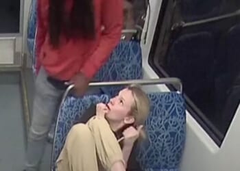 Iryna Zarutska was fatally stabbed on a Charlotte, North Carolina, light rail train in August 2025, allegedly by career criminal Decarlos Brown Jr.