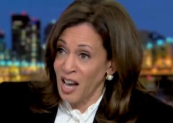 On Monday, former Vice President Kamala Harris went on MSNBC to promote her new book and took the time to jab President Donald Trump and call him a “tyrrant,” in a move the White House is calling an incitement of violence.