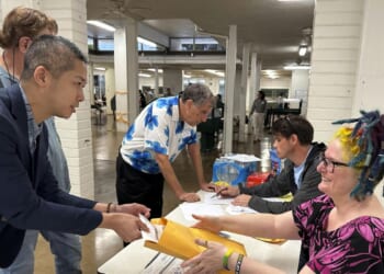 Elections Commission wants state auditor to examine Hawaii's 2024 vote