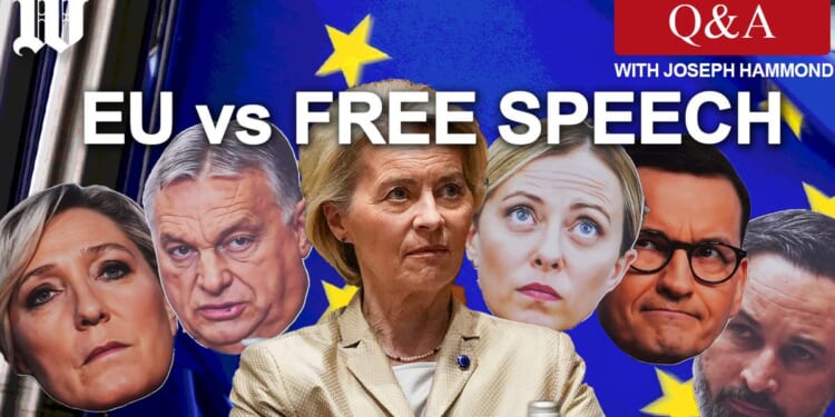 WATCH: Joseph Hammond answers questions about the fight over disinformation in Europe