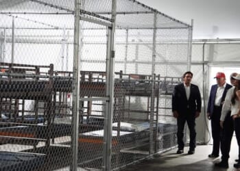 DOJ contradicts DeSantis: Some detainees at 'Alligator Alcatraz' likely never in removal proceedings