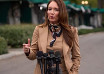 Agriculture Secretary Brooke Rollins says farmer aid package will land once government reopens