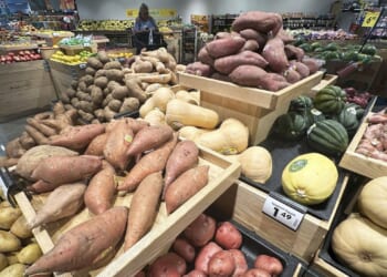 Consumer sentiment breaks even, with no sign of major shutdown angst