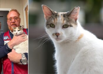 Mike Sida, left, and Wayne Schneider (holding Francine the Cat) set off at 4 a.m. Monday to bring the wayward kitty back to her home at Lowe's #1037 in RIchmond, Virginia.