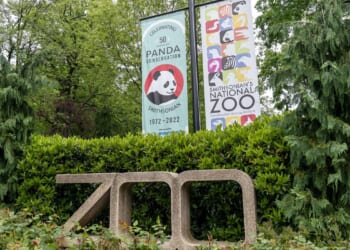 Smithsonian's 'Boo at the Zoo' canceled due to government shutdown