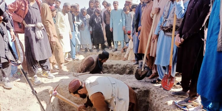 Pakistani and Afghan delegations in Doha for crisis talks over cross-border violence