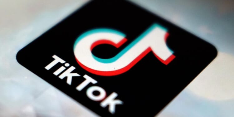 European Union accuses Meta and TikTok of breaching transparency rules