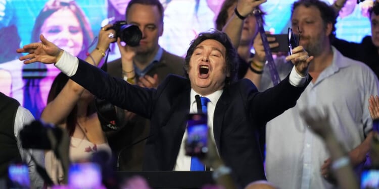 Javier Milei triumphs in Argentine midterm elections closely watched by Washington