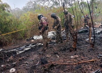 Plane crashes while flying tourists to Kenya's Maasai Mara, 11 dead