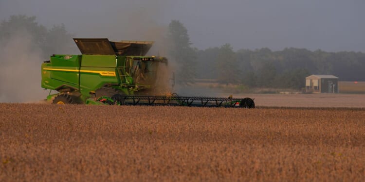 China makes its first purchase of U.S. soybeans this year: Report