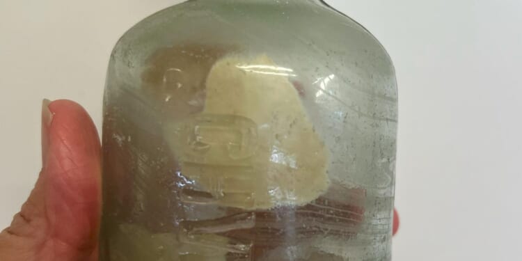 Bottle containing messages from two Australian World War I soldiers found on beach