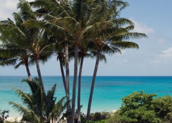 Elderly woman found dead on Australian island after cruise left her behind