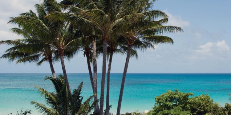 Elderly woman found dead on Australian island after cruise left her behind