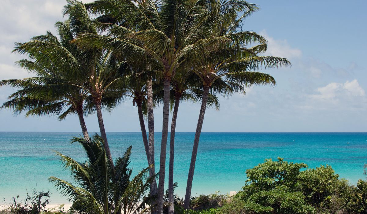 Elderly woman found dead on Australian island after cruise left her behind
