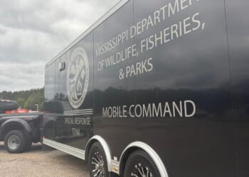 Three monkeys still loose after truck crash in Mississippi