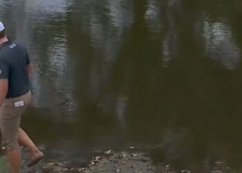 An alligator watches as golfer Vince Whaley hits his ball out of the lake at the Sanderson Farms Championship in Jackson, Mississippi, in early October 2025.