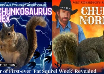 The competition saw entrants from 16 state parks vying for votes from fans on social media.