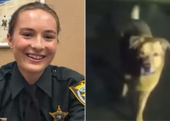 Deputy Devon Miller praised Eeyore the dog as a "true hero" for leading her to a missing Florida woman.