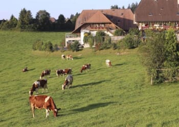 No Truth Allowed in Switzerland Now – HotAir