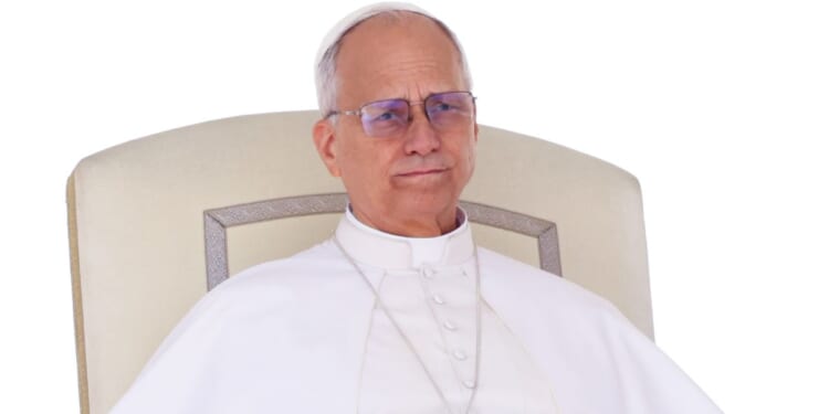 Pope Leo XIV attends the Jubilee of Catechists audience in St. Peter's Square in Vatican City on Saturday.