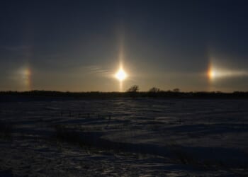 Real Mann of Science™ Quits His Job – HotAir