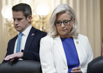 Sad New York Times Keeps Beating What's Left of the J6 Dead Horse – PJ Media